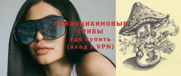 винт Алексин