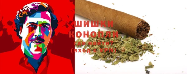 PSILOCYBIN Алексеевка
