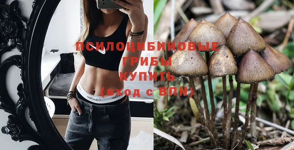 PSILOCYBIN Алексеевка
