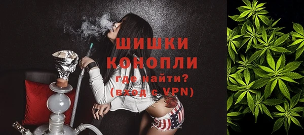 PSILOCYBIN Алексеевка
