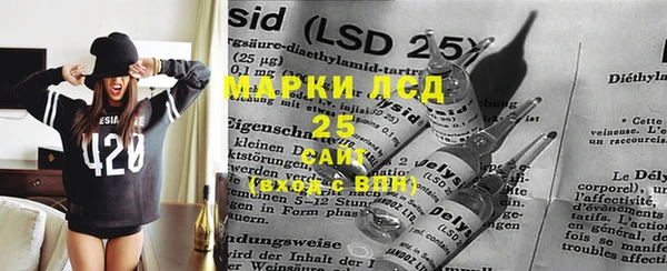 PSILOCYBIN Алексеевка