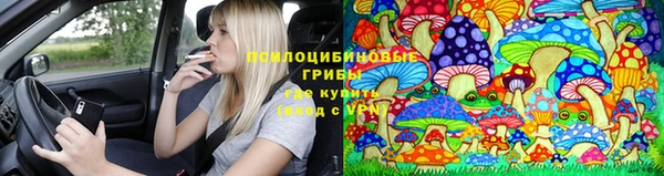 стафф Алзамай